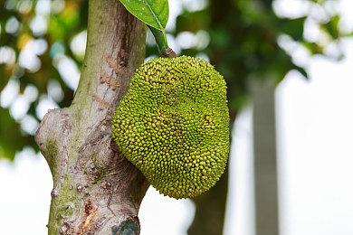 9月超爽的防守地图！KK官方对战平台《弓箭手羁绊》上线！